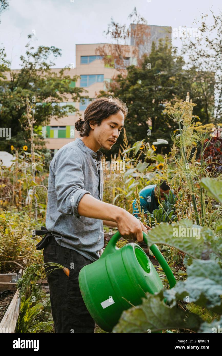 Joven hombre ambientalista regando plantas en el jardín comunitario Foto de stock