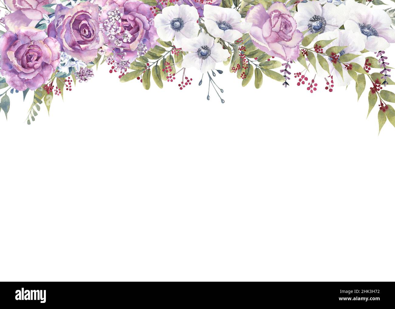 Marco floral geométrico con rosas moradas y anémonas en un jarrón de  cristal sobre fondo blanco aislado. Ilustración de acuarela dibujada a mano  Fotografía de stock - Alamy