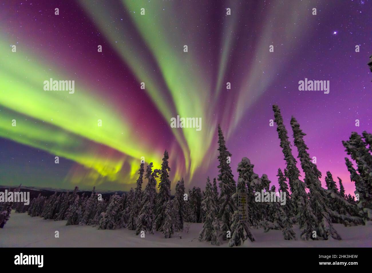 Aurora Borealis, luces del norte, cerca de Fairbanks, Alaska Foto de stock