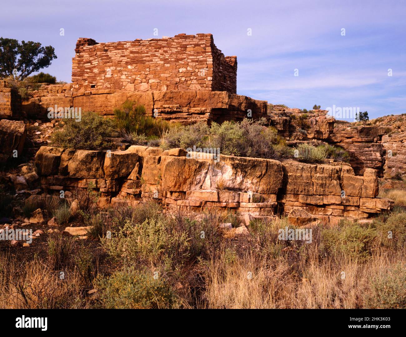 Estados Unidos, Arizona, Monumento Nacional de Wupatki. Ruinas indias Anasazi en el Cañón Box. Crédito como: Dennis Flaherty / Jaynes Gallery / DanitaDelimont.com Foto de stock