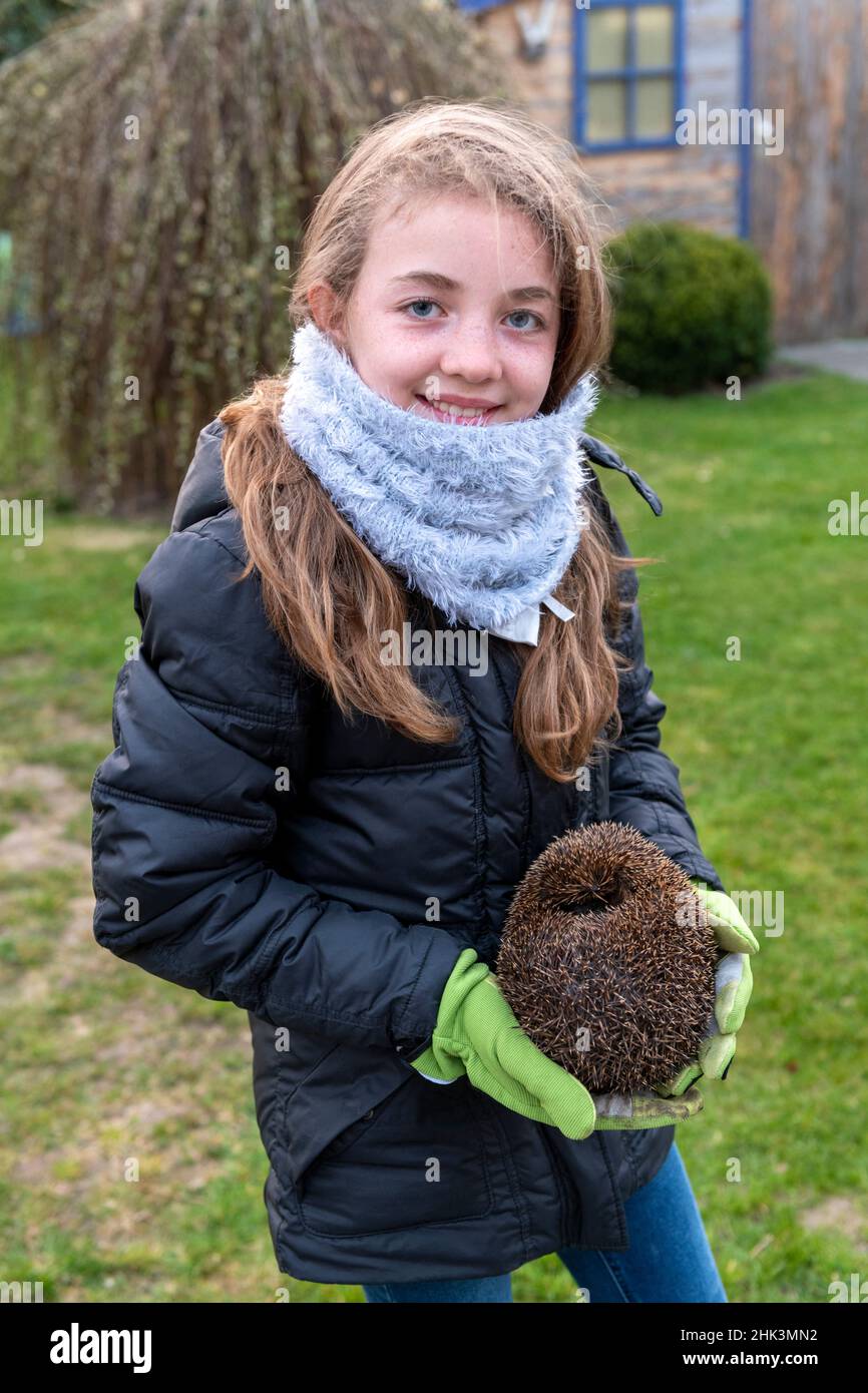 Chica portando un erizo en un jardín en primavera, Pas de Calais, Francia Foto de stock