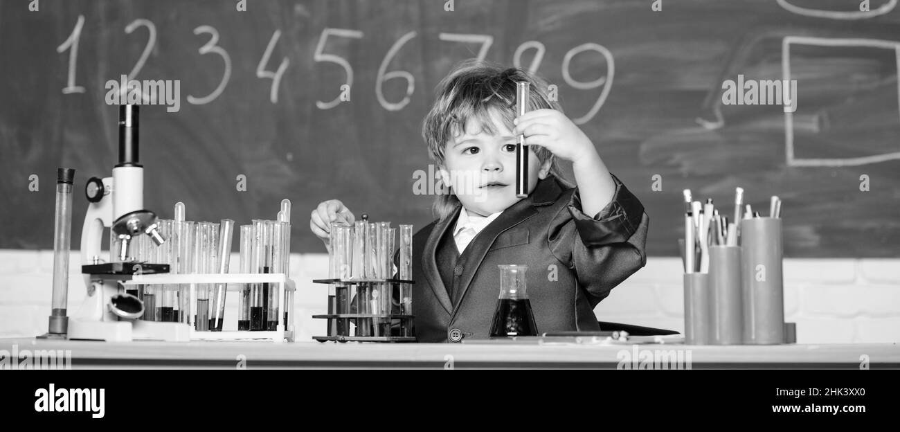 indigo bolsagage status