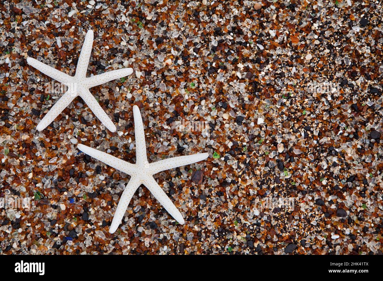 Estados Unidos, Hawaii, Kauai. Esqueletos de estrellas en Glass Beach. Crédito como: Dennis Flaherty / Jaynes Gallery / DanitaDelimont.com Foto de stock