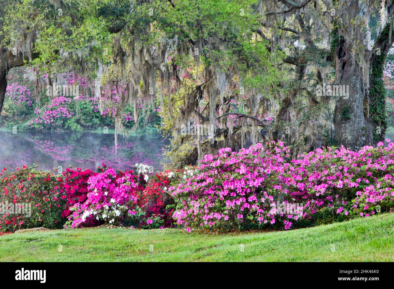 Estados Unidos, Carolina del Sur, Charleston, The Inn at Middleton Place, Calma entre las Flores Foto de stock