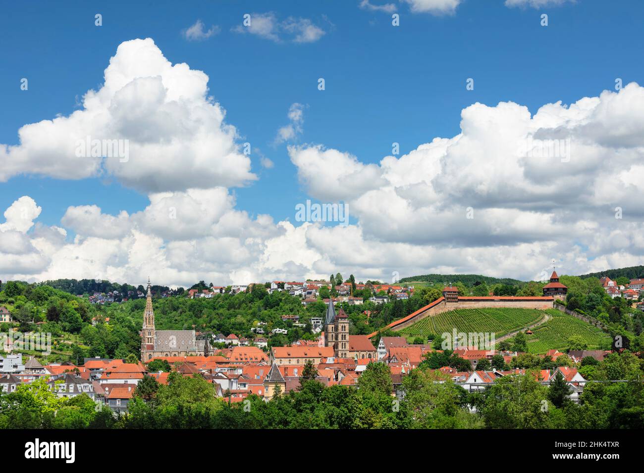 Casco antiguo con la iglesia y el castillo de San Dionys, Esslingen am Neckar, Baden-Wurttemberg, Alemania, Europa Foto de stock