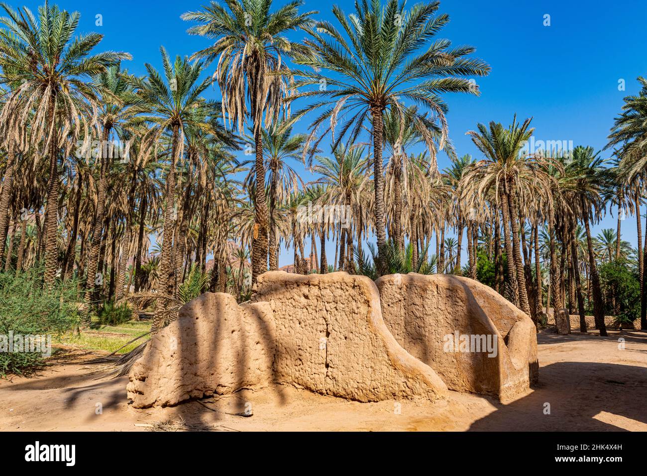 Oasis de Al Ula, Reino de Arabia Saudita, Oriente Medio Foto de stock