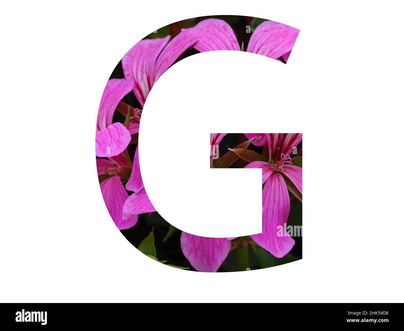 Logotipo de la flor de la letra g fotografías e imágenes de alta