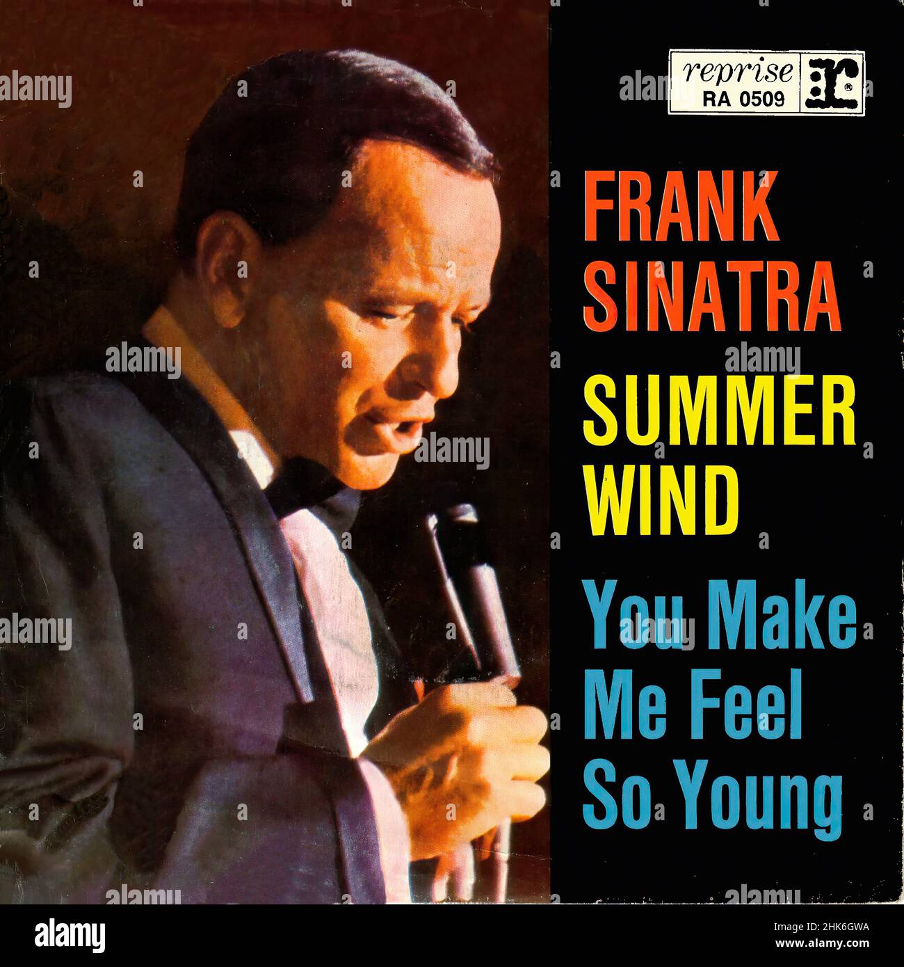 Vintage vinilo discográfico - Sinatra, Frank - Summer Wind - D - 1966 00001 Foto de stock