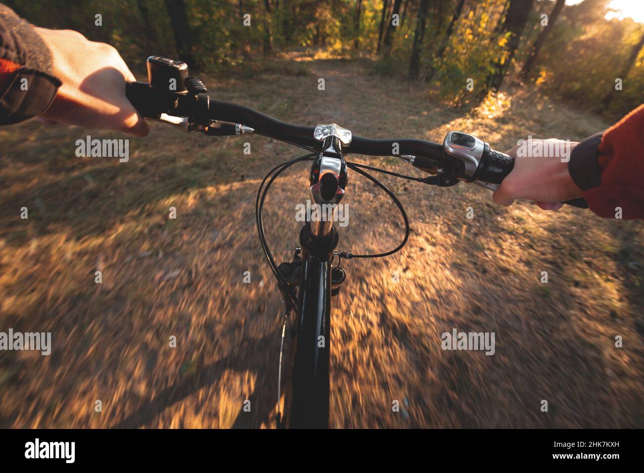 Montar en bicicleta en primera persona. Conducir una bicicleta en el bosque de otoño Foto de stock