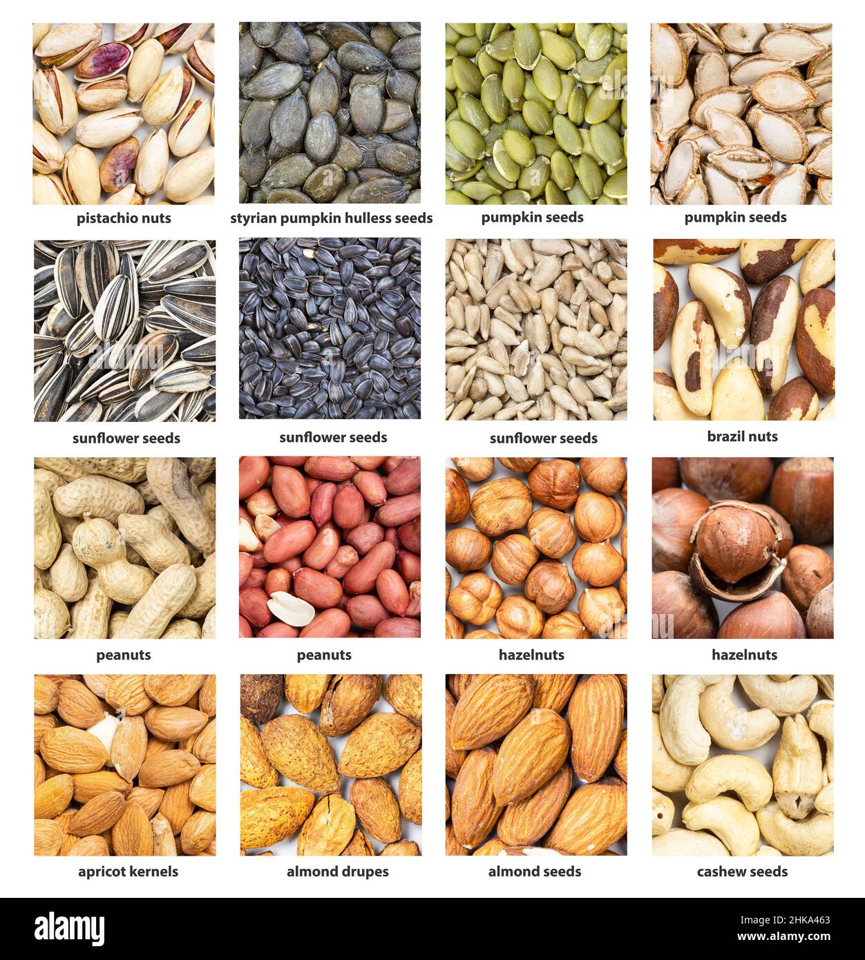 conjunto de fondo de comida cuadrada - varios frutos secos con nombres de  cerca Fotografía de stock - Alamy