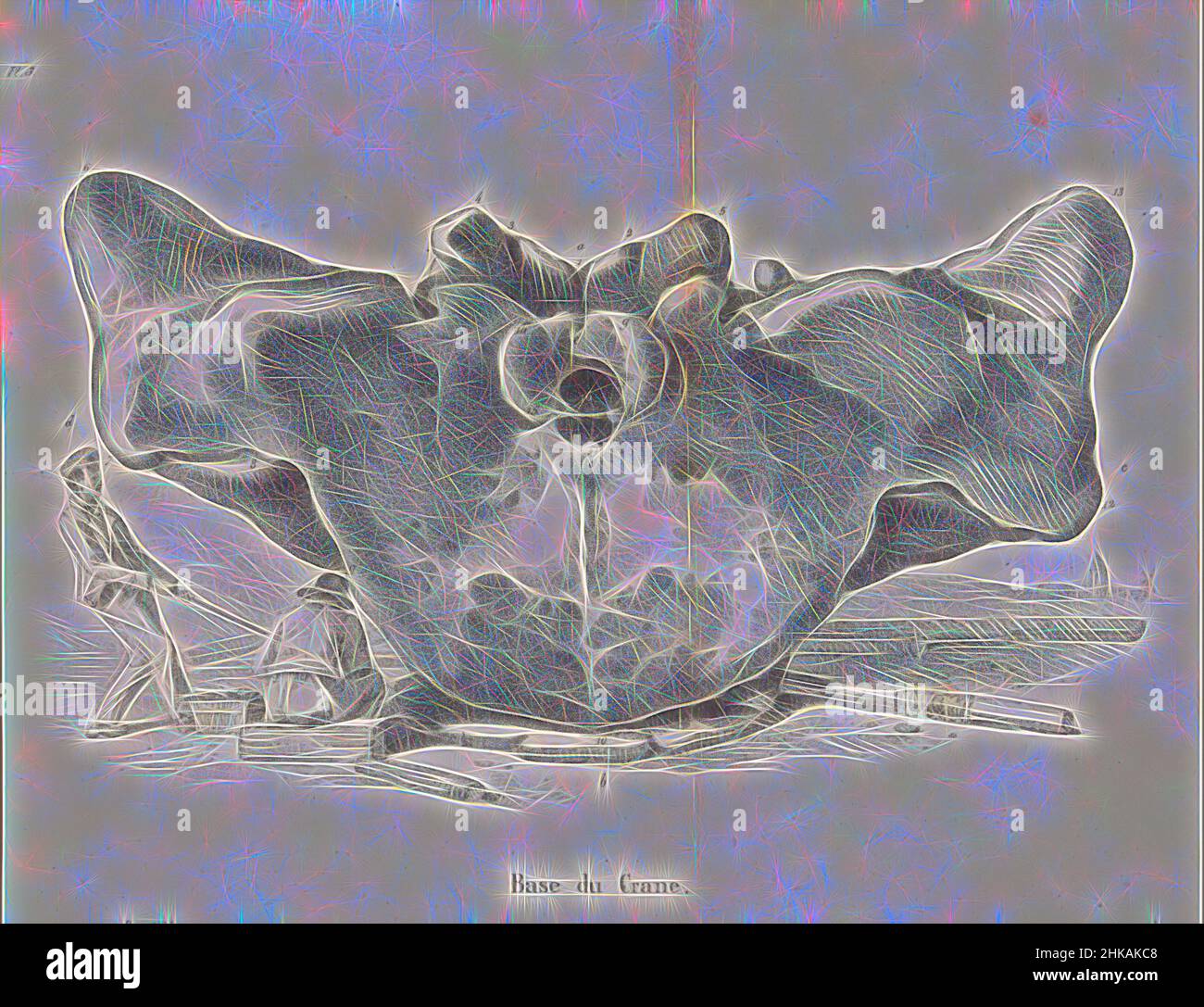Base de ballena fotografías e imágenes de alta resolución - Alamy