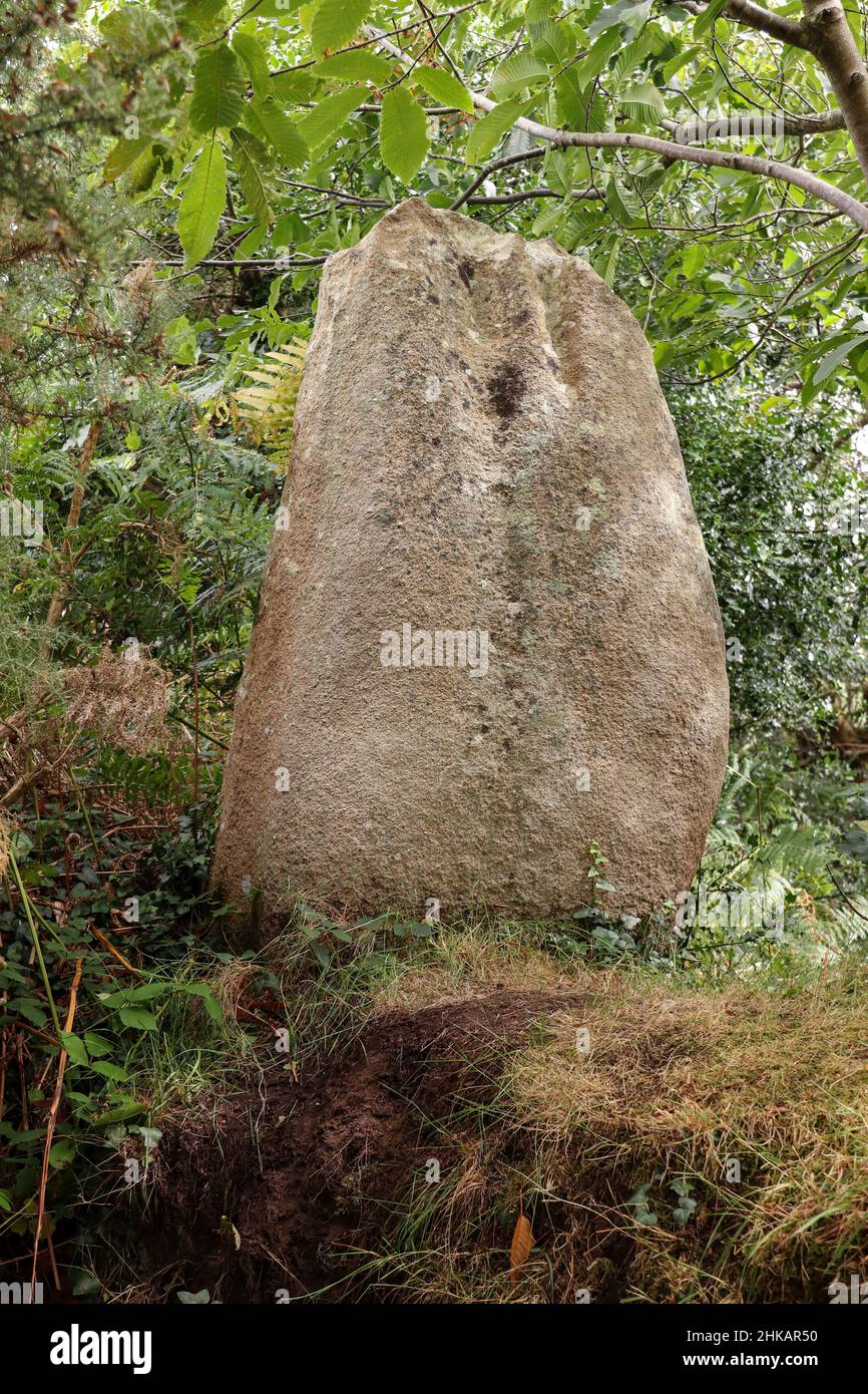 Menhir de Milin ar Lann - monumento megalítico cerca de Trebeurden en Bretaña, Francia Foto de stock