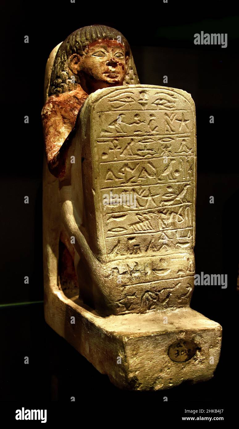 indigo bolsagage status