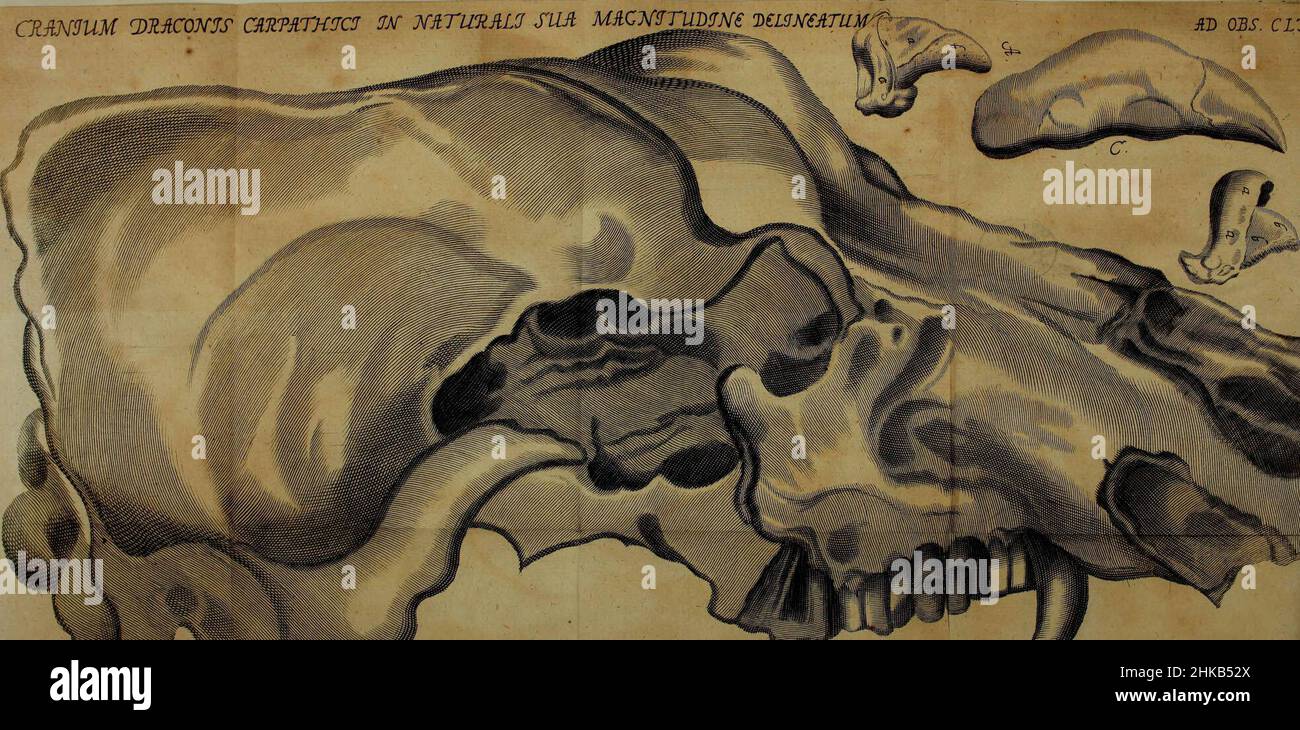 'Miscellanea Curiosa Medico-Physica Academiae Naturae Curiosorum' (1676) Foto de stock