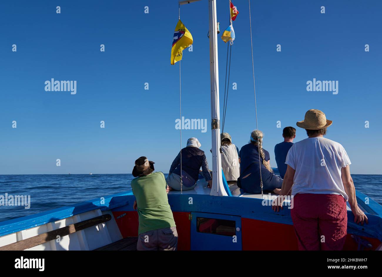 Touristen Bootstour zum Whalewatching, Valle Gran Rey, La Gomera, Kanarische Inseln, español Foto de stock