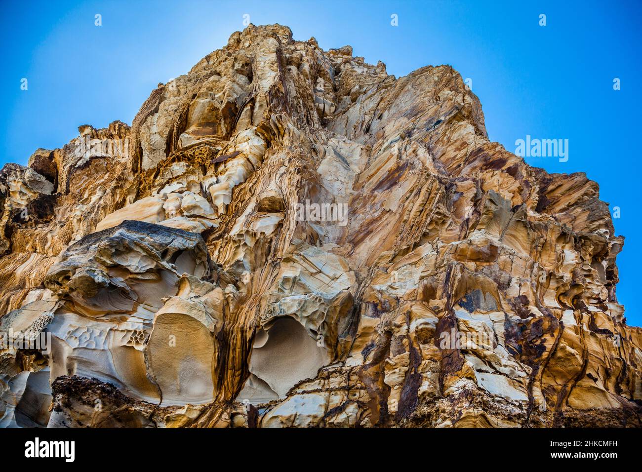 Pliegue vertical en el acantilado de arenisca en Bouddi Point, Maitland Bay, Parque Nacional Bouddi, Costa Central, Nueva Gales del Sur, Australia Foto de stock