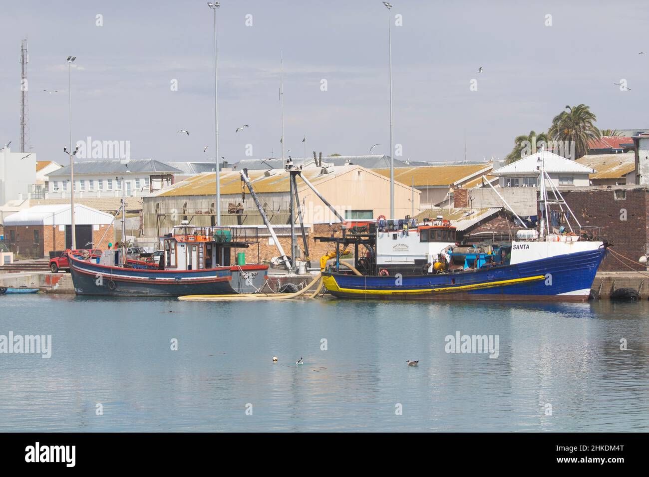 Coloridos barcos de pesca en el puerto de la bahía de Lamberts, Costa Oeste, Cabo Occidental, Sudáfrica Foto de stock
