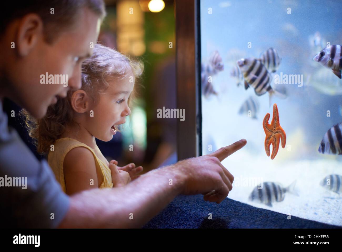 Ella se centra en esos peces. Foto recortada de una niña en una excursión al acuario. Foto de stock
