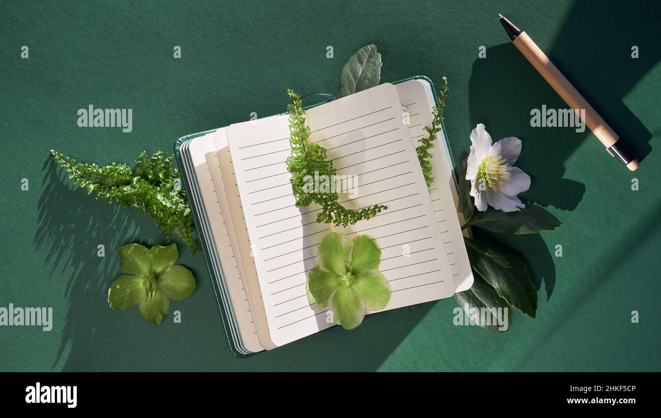 Cuaderno, plantas verdes y flores entre las páginas. Hojas de helecho, flores de Helleboro blanco verde. Foto de stock