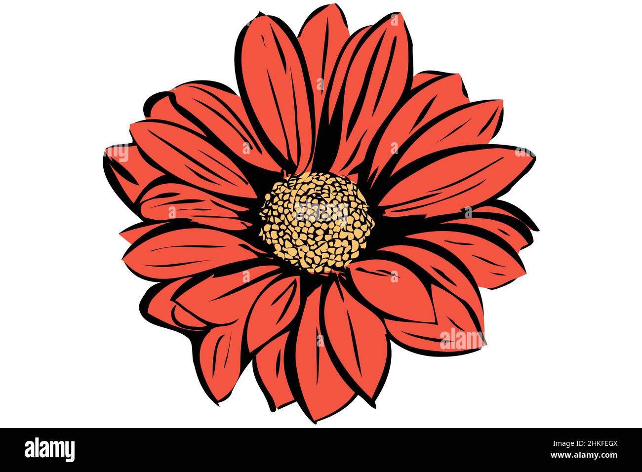 imagen vectorial de un hermoso jardín de flores en flor Foto de stock