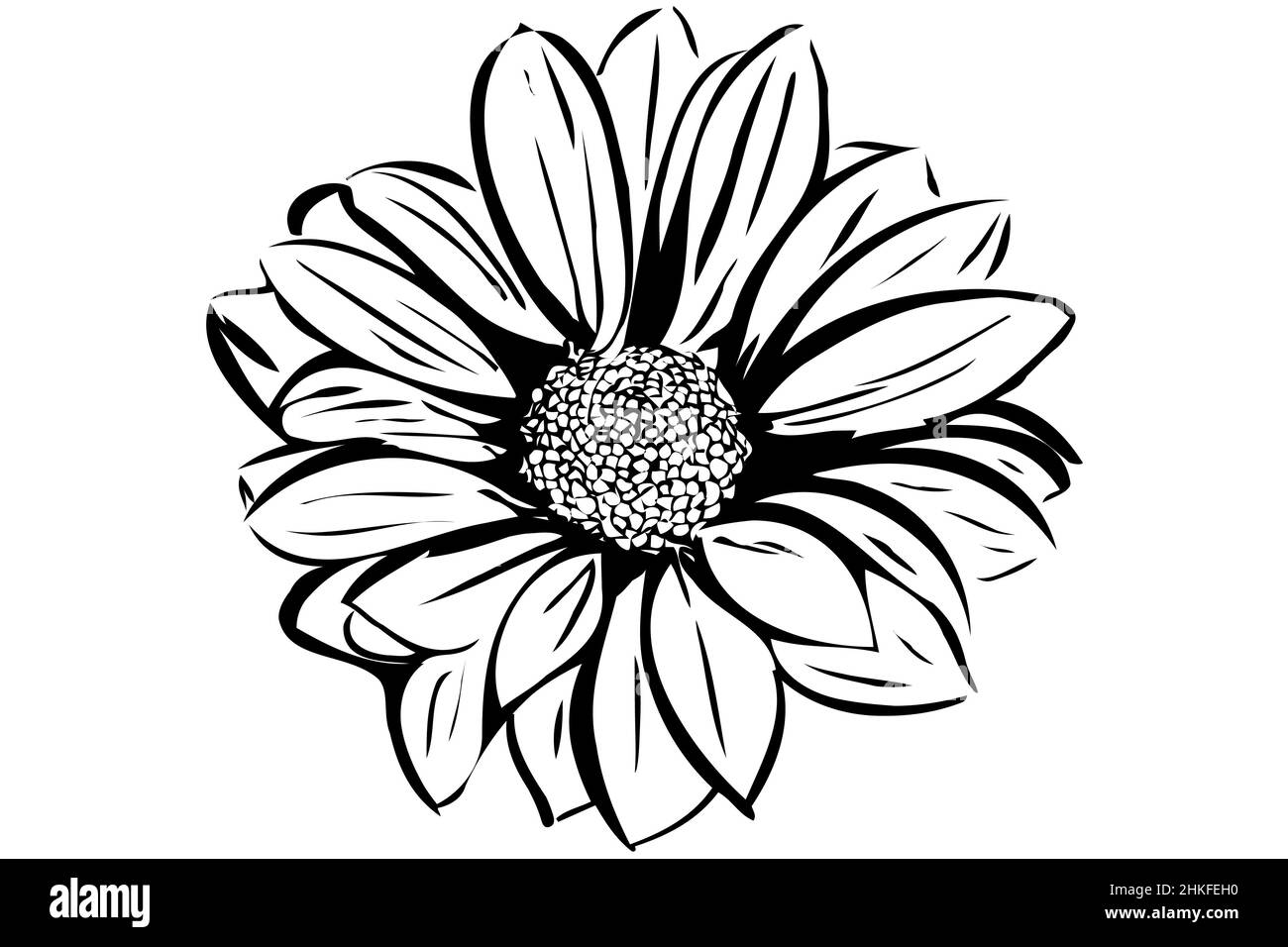 imagen vectorial de un hermoso jardín de flores en flor Foto de stock