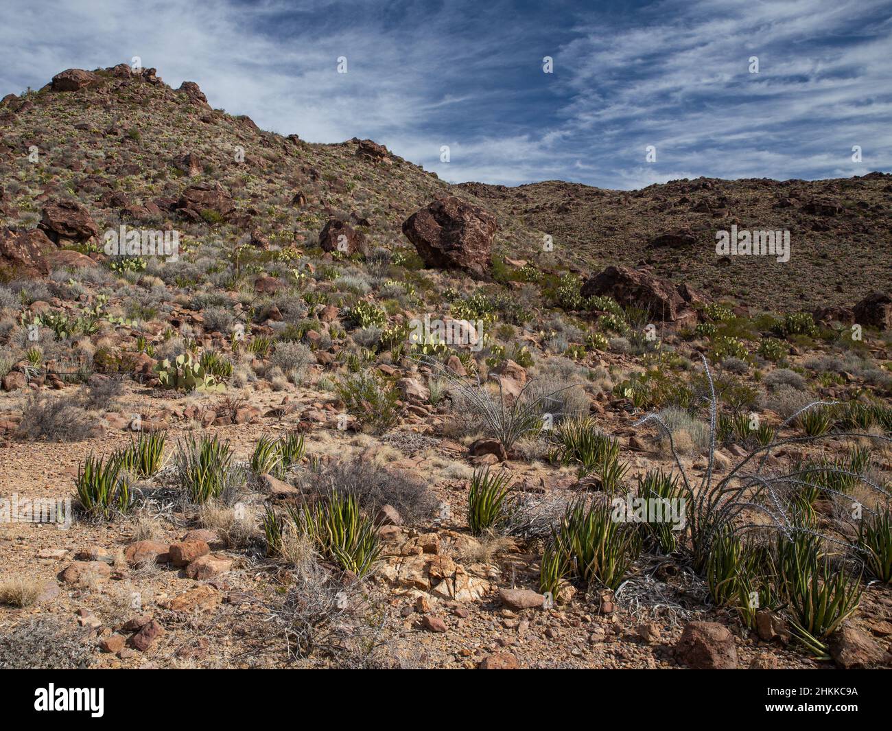 Las grandes rocas se desploman en una colina cubierta de vegetación del desierto de Chihuahua. Foto de stock