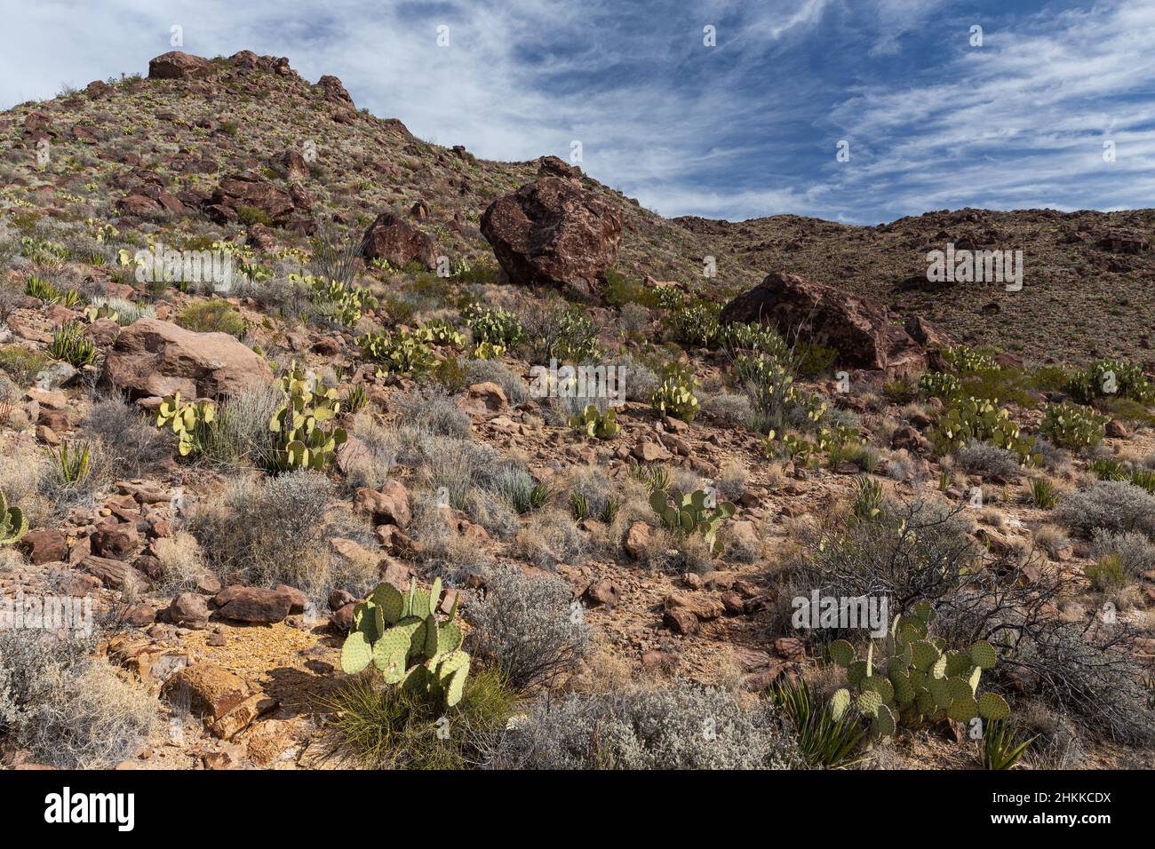 Las grandes rocas se desploman en una colina cubierta de vegetación del desierto de Chihuahua. Foto de stock