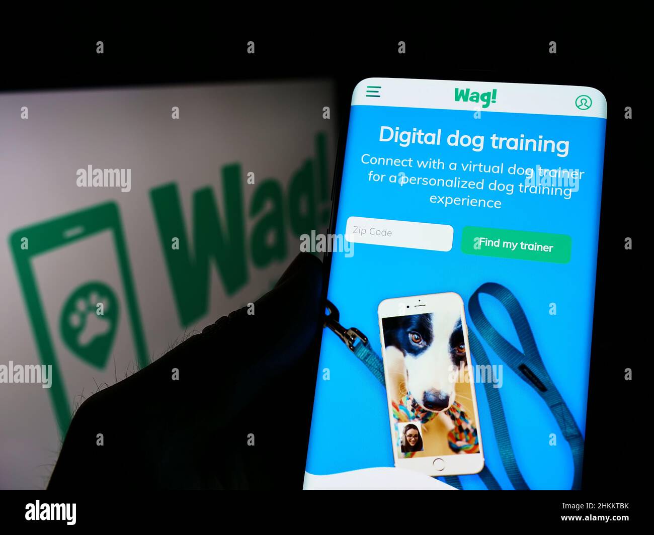 Persona que sostiene el teléfono celular con la página web de la compañía de cuidado de mascotas de EE.UU. Wag Labs Inc. En la pantalla frente al logotipo de la empresa. Enfoque en el centro de la pantalla del teléfono. Foto de stock