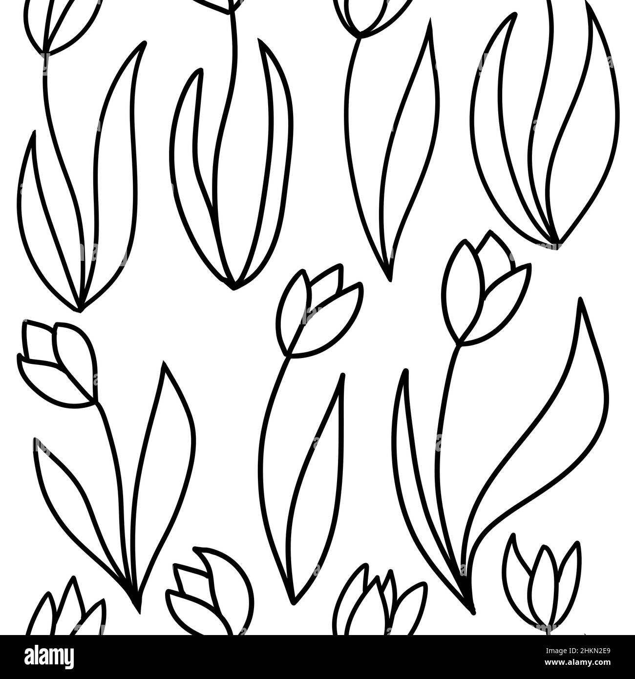 Dibujo a mano sin costuras con flores en blanco y negro elementos botánicos  florales, hojas ramas florecen. Minimalistas monocroma margarita plantas de  color rosa sobre fondo blanco, para papel de tapiz textil