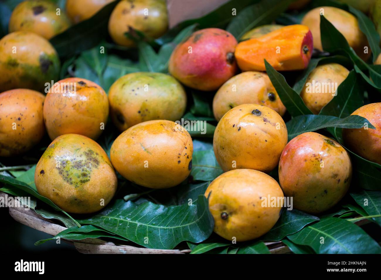 Selling Mango Fotos e Imágenes de stock - Página 7 - Alamy