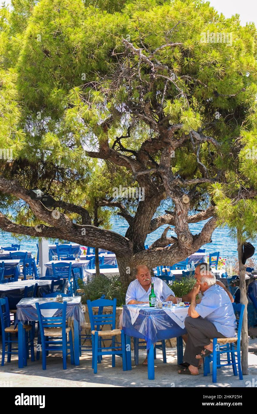 Tres hombres sentados frente a una taberna griega a la sombra de un hermoso árbol en la isla de Aegina, Islas Sarónicas, Grecia, Europa Foto de stock