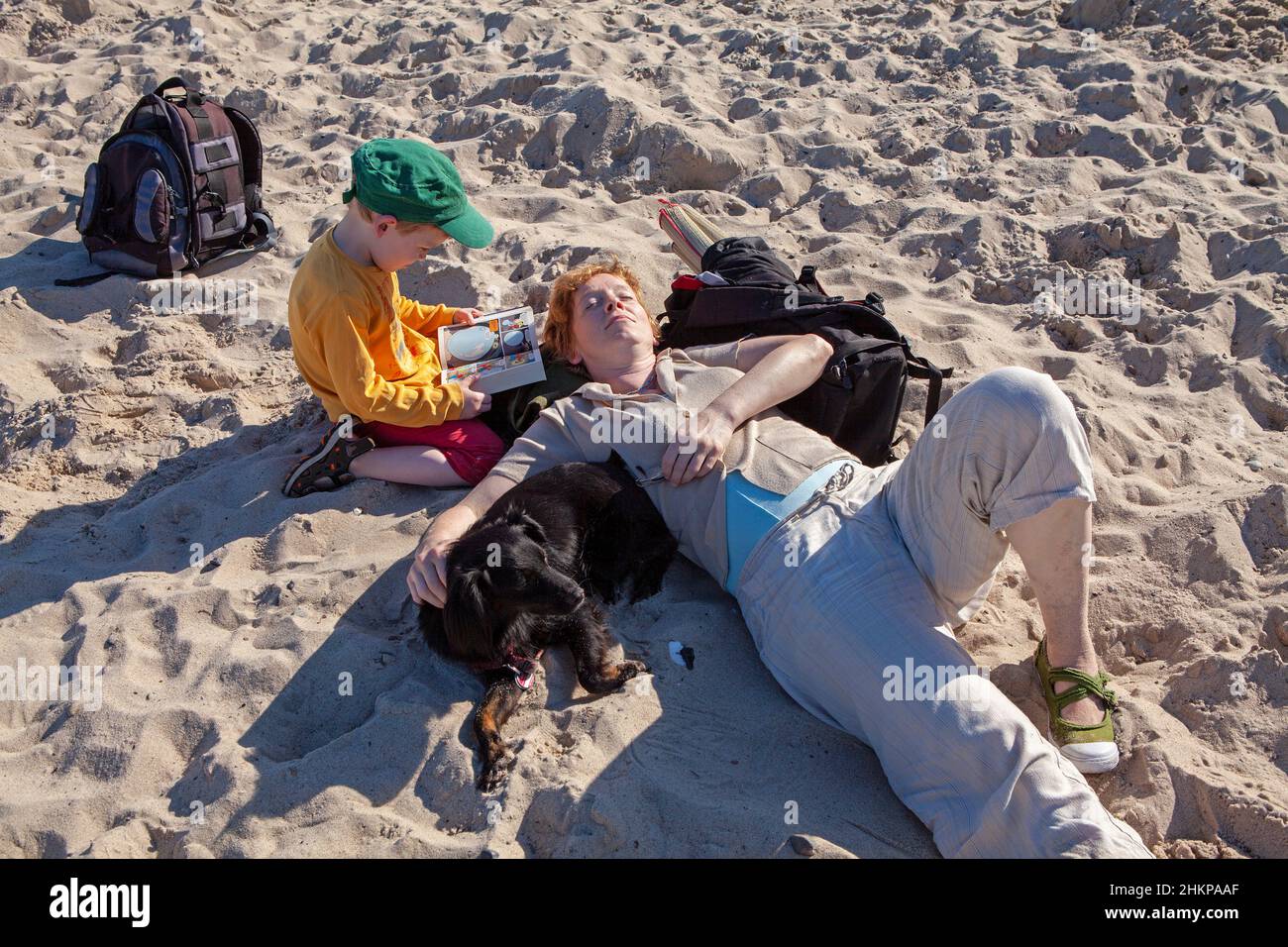 Madre, hijo y perro escalofriando en la playa, Alemania Foto de stock
