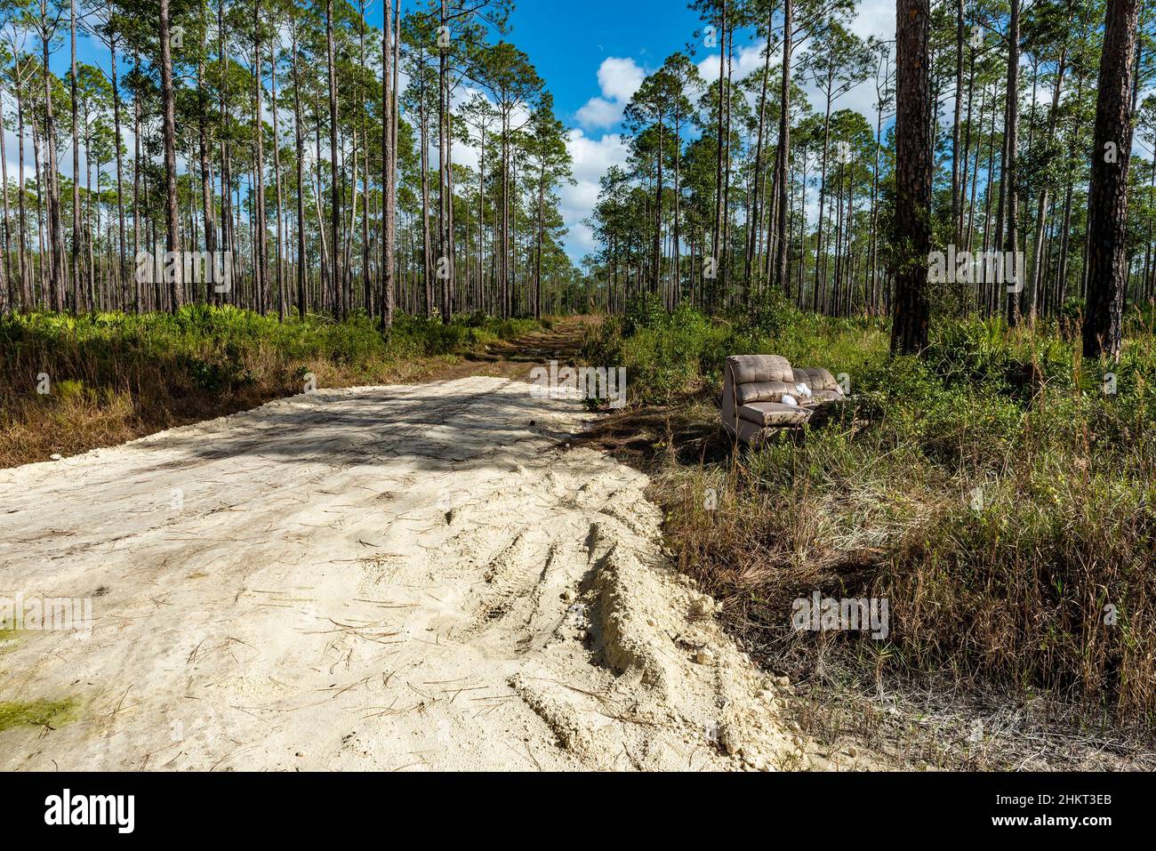 Un sofá abandonado salió al lado de un camino de tierra en un Tiger Bay State Park, Florida, Estados Unidos. Foto de stock