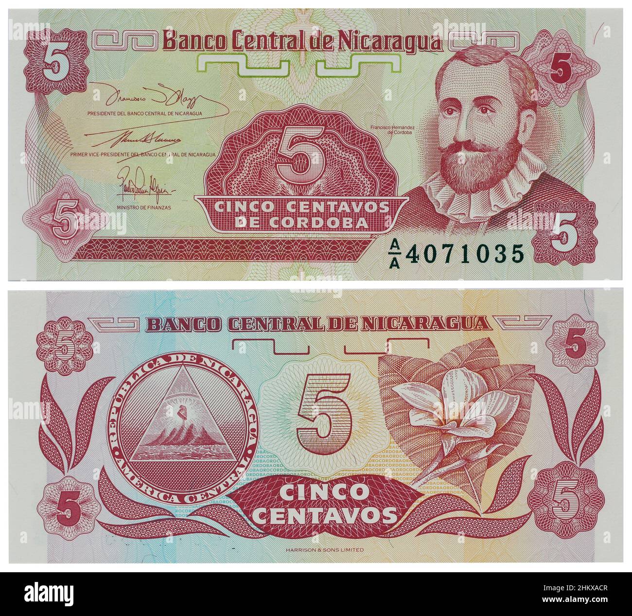 Billete de moneda Nicaraguavieja - cinco centavos. Macro aislada Foto de stock