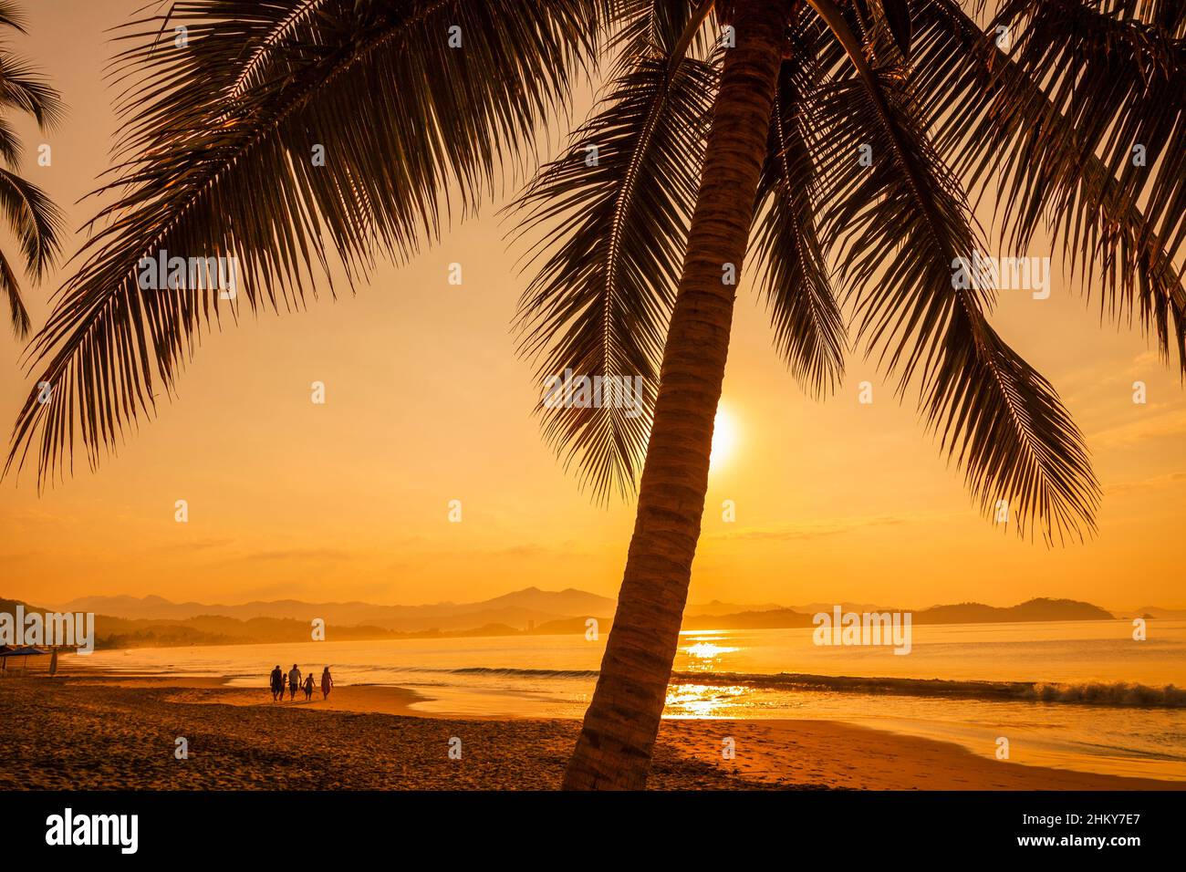 Palmeras de coco. Playa Manzanillo. Océano Pacífico. Colima. México, Norteamérica Foto de stock