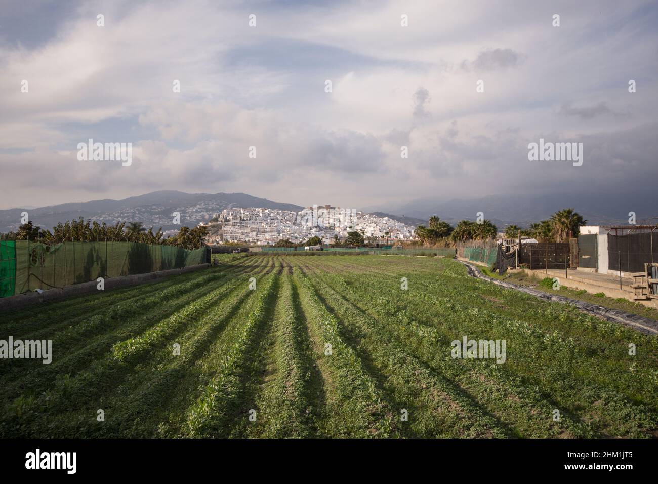 La ciudad española Salobreña rodeada de tierras de labranza en una colina, Costa tropical, Granda, España. Foto de stock