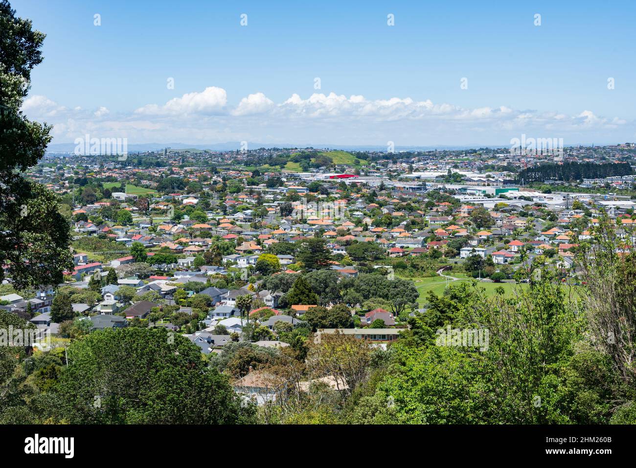 Una vista de las casas en el suburbio de Auckland del Monte Roskill visto desde el dominio Owairaka Foto de stock