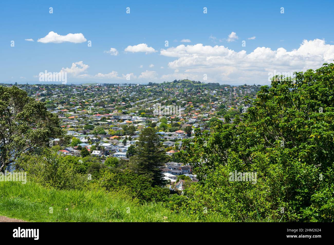 Una vista de las casas en el suburbio de Auckland de Mt Eden visto desde Owairaka Domain Foto de stock