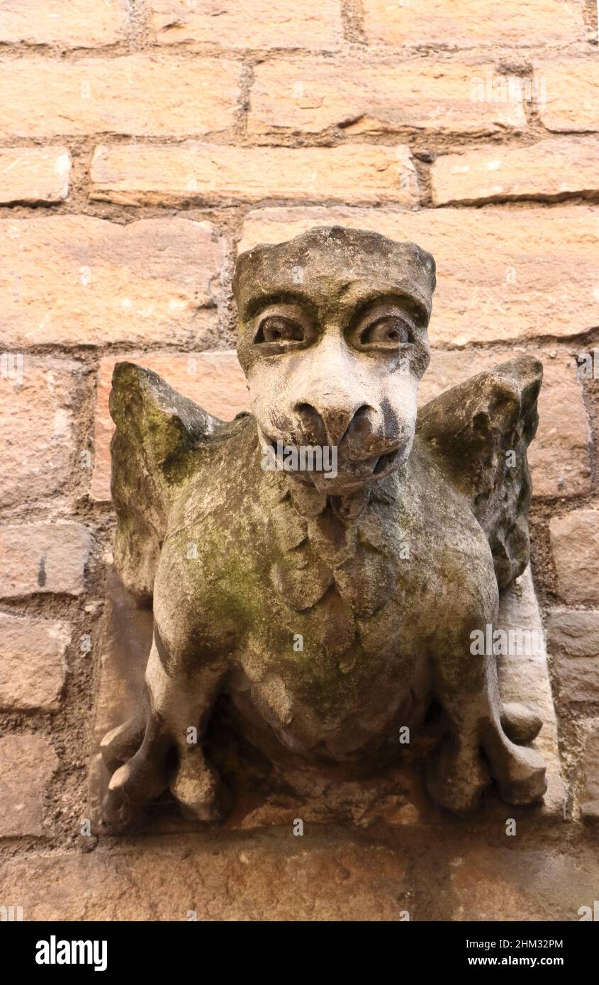 Gárgolas de tiempo usado en la pared de la Iglesia de San Martín, Coney Street, York, Yorkshire, Inglaterra, REINO UNIDO Foto de stock