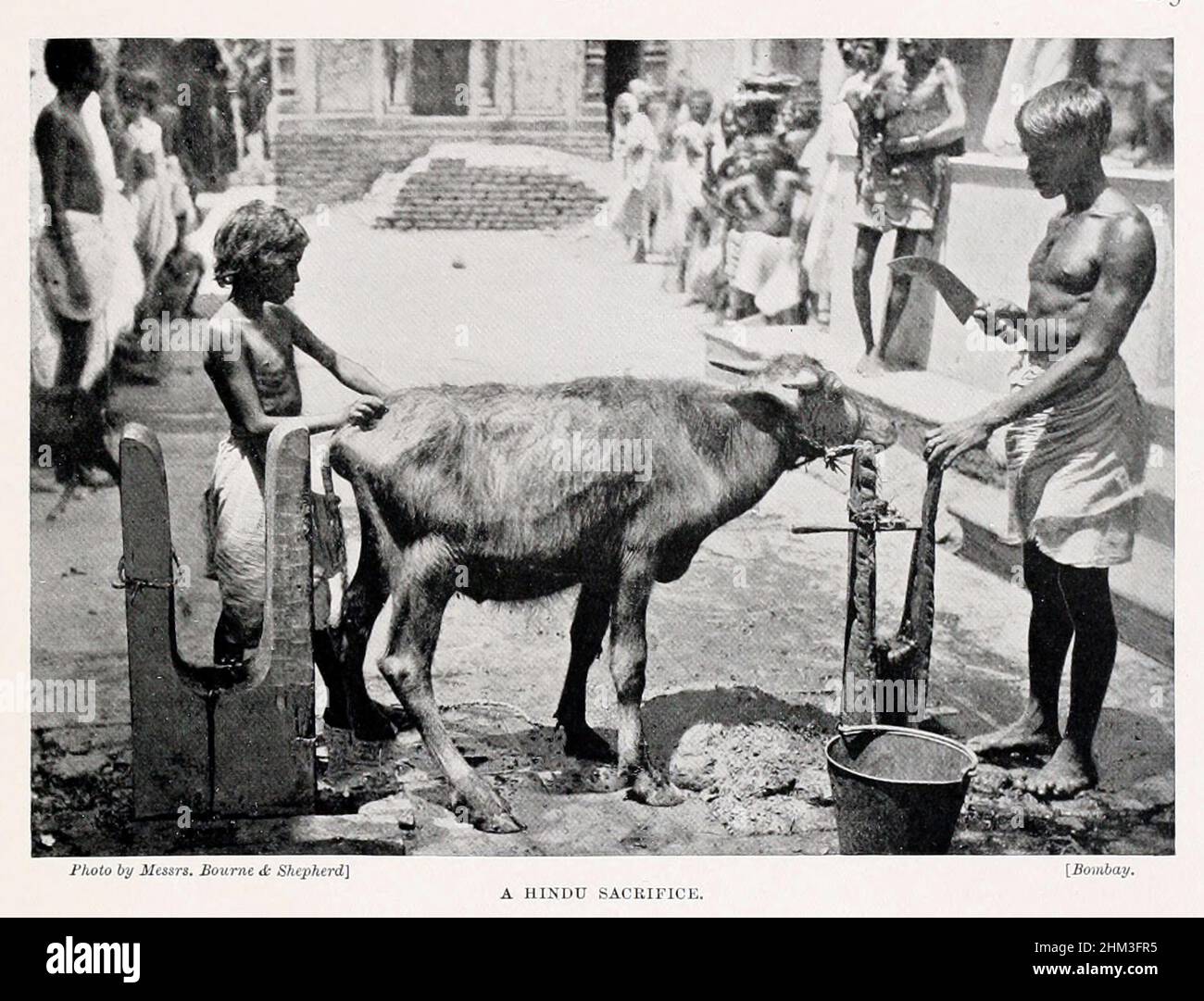 Un sacrificio hindú del libro 'Las razas vivas de la humanidad' Vol 1 de Henry Neville Hutchinson, editores John Walter Gregory, y Richard Lydekker, editor: London, Hutchinson & CO 1901 Foto de stock