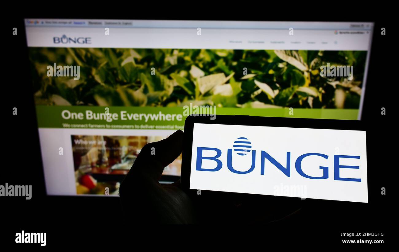 Persona que sostiene el teléfono celular con el logotipo de la empresa agroindustrial y de alimentos Bunge Limited en la pantalla frente a la página web del negocio. Enfoque en la pantalla del teléfono. Foto de stock