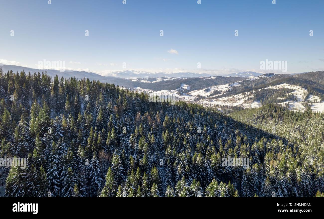 Paisaje de montaña de invierno. Las colinas están cubiertas de bosques de abetos y nieve. Foto de stock