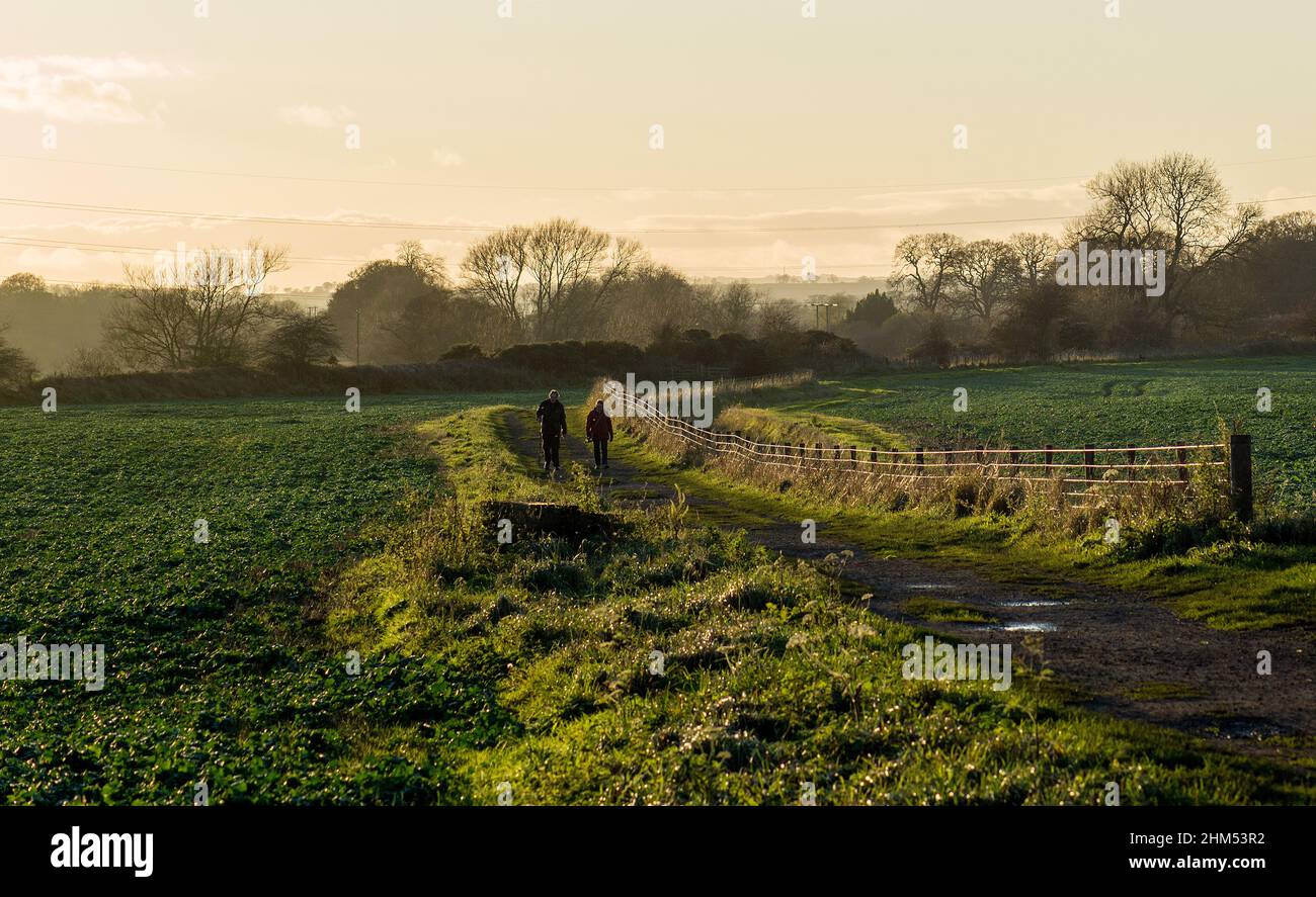 Imagen en color de una pareja caminando a lo largo de un camino de campo entre los campos resaltados por la iluminación lateral de un bajo sol Foto de stock