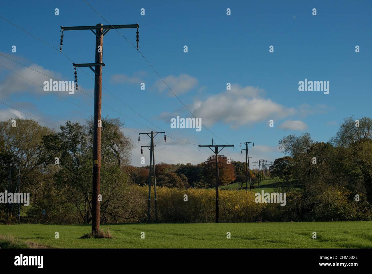 Vista de las líneas eléctricas que ronronan por el campo en la distancia Foto de stock