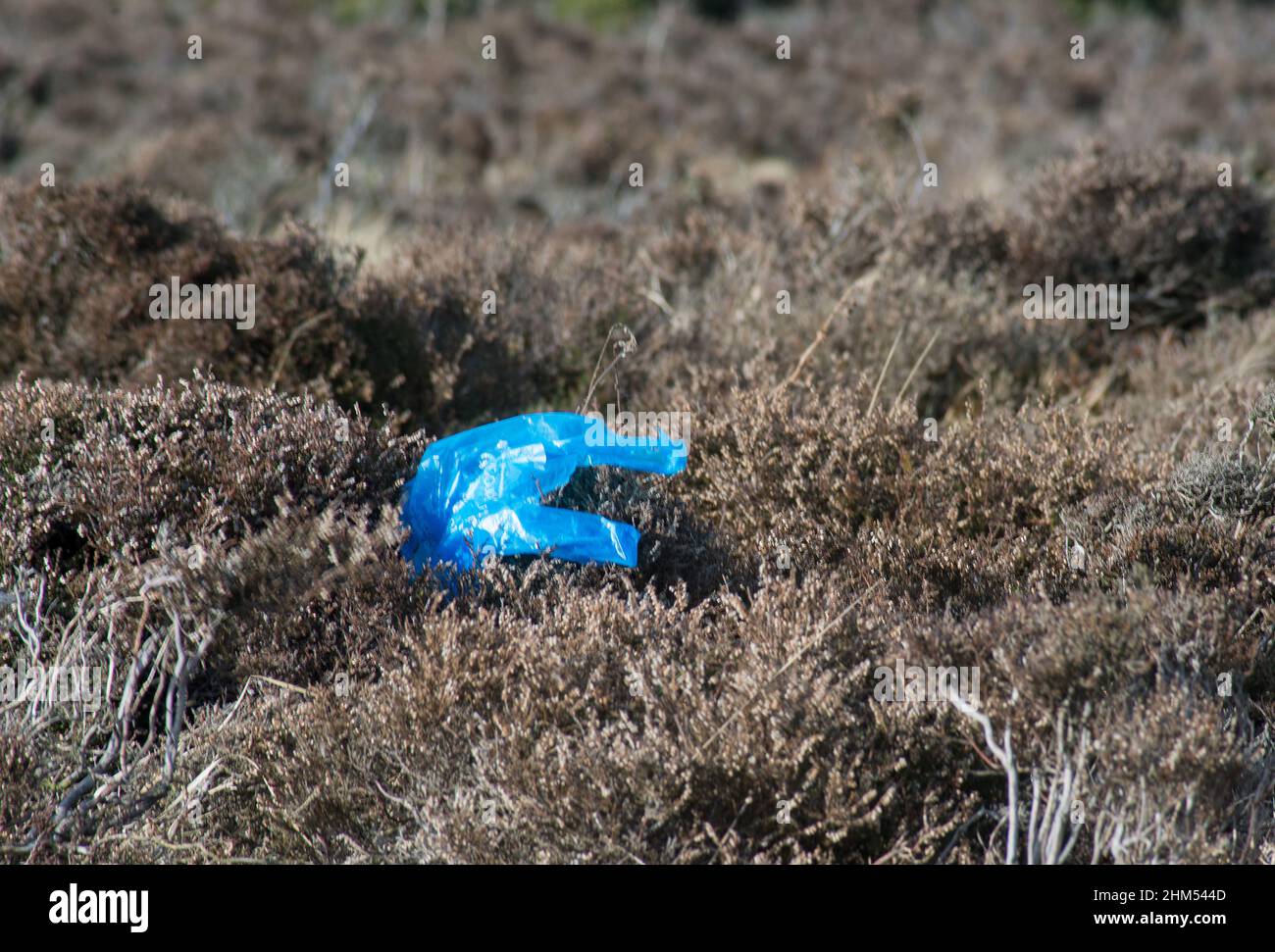 Imagen fantasmal de un guante de higiene de plástico azul que parece como si una mano estuviera dentro y saliendo de debajo del suelo y jaspeado Foto de stock