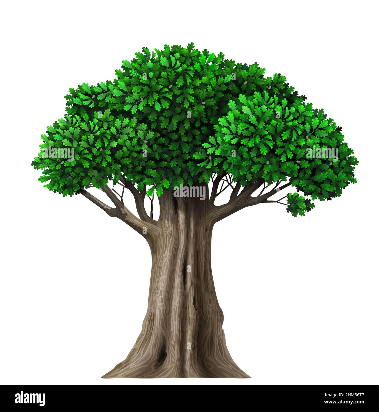 Aísle el árbol vector de hadas con hojas. Planta con follaje verde. Naturaleza forestal y ecología Ilustración del Vector