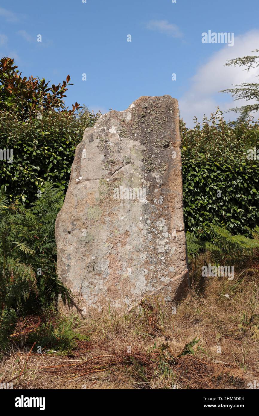 Menhir de Kerariou - monumento megalítico cerca de Trebeurden en Bretaña, Francia Foto de stock