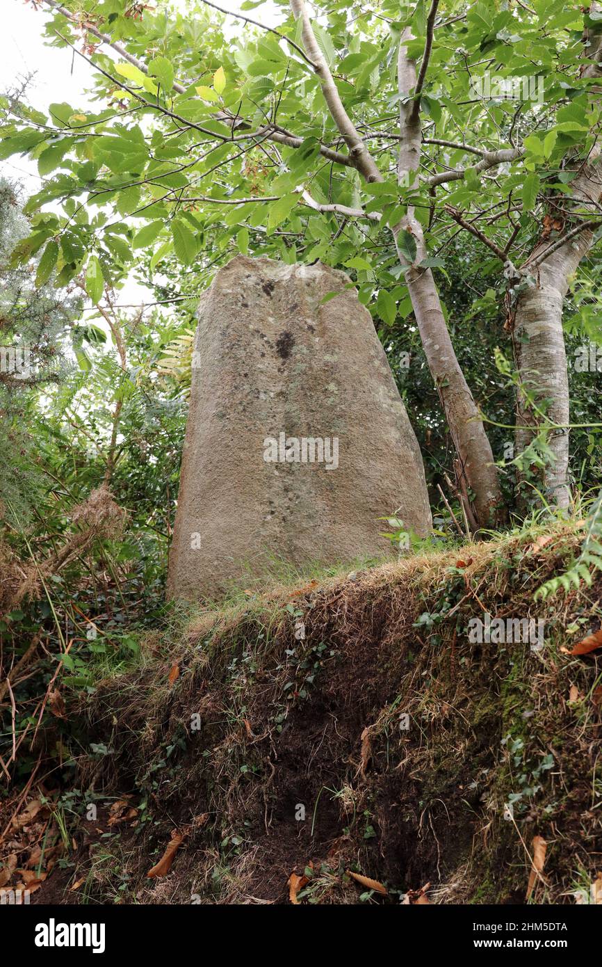 Menhir de Milin ar Lann - monumento megalítico cerca de Trebeurden en Bretaña, Francia Foto de stock