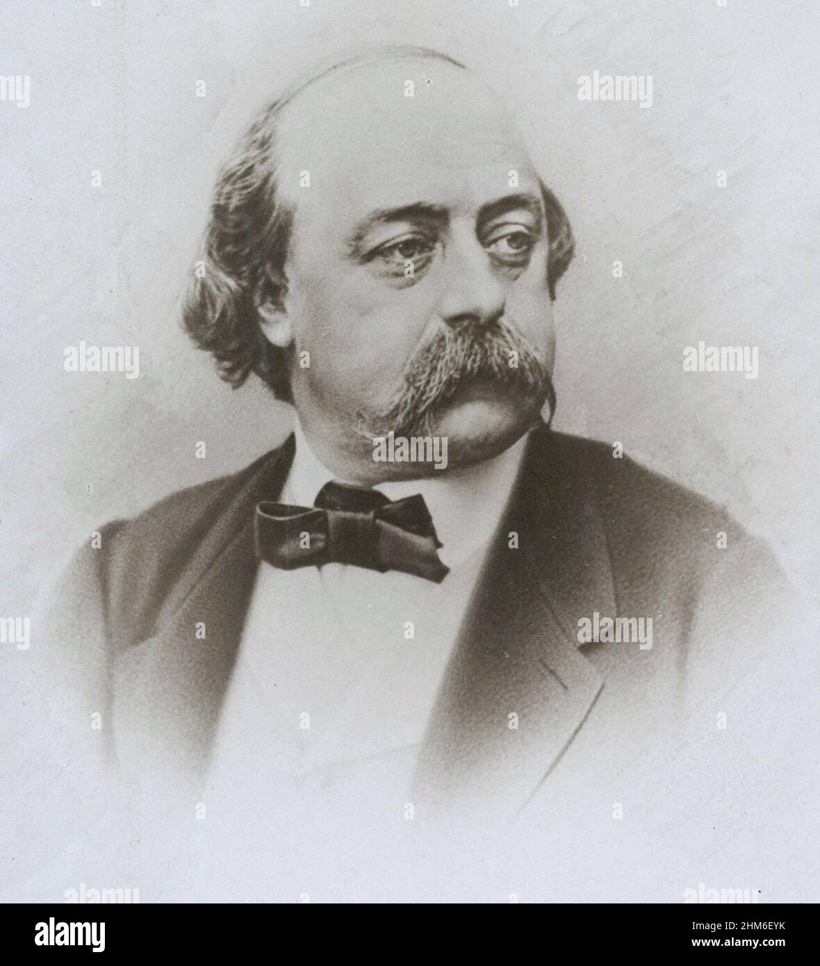 Retrato del escritor francés Gustave Flaubert, autor de Madame Bovary, desde 1865, cuando tenía 44 años. Foto de stock