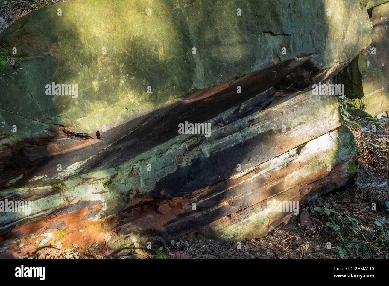 Lanceta de ropa de cama en la cantera de Cowraik (en desuso), Beacon Edge, Penrith, Cumbria, Reino Unido Foto de stock